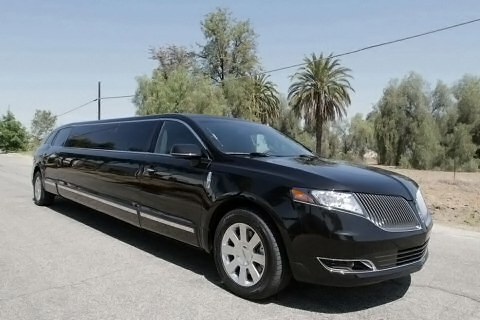 20 Passenger Limo